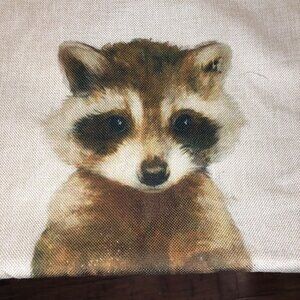 Racoon Zippered Pillowcase 17" by 17"